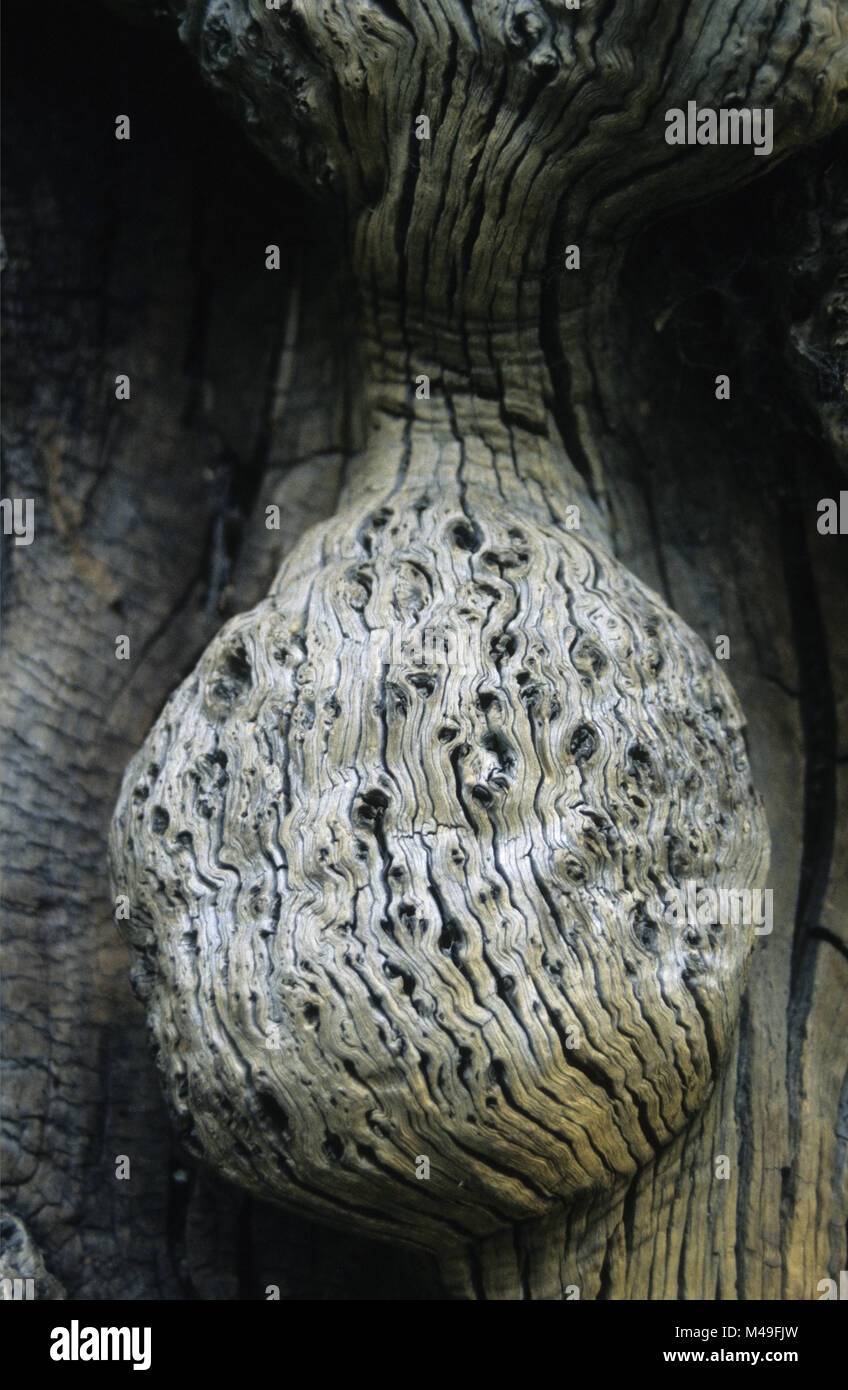 Runk hi-res stock photography and images - Alamy