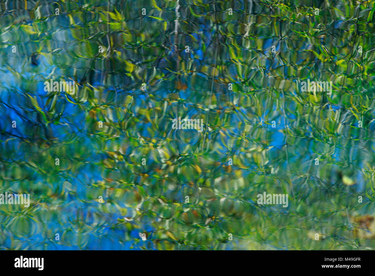 Reflection of trees in a pond around the Kamikochi Valley, Honshu, Japan, October. Stock Photo