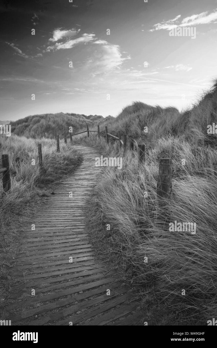 Black and white sunrise landscape image of sand dunes system over beach ...