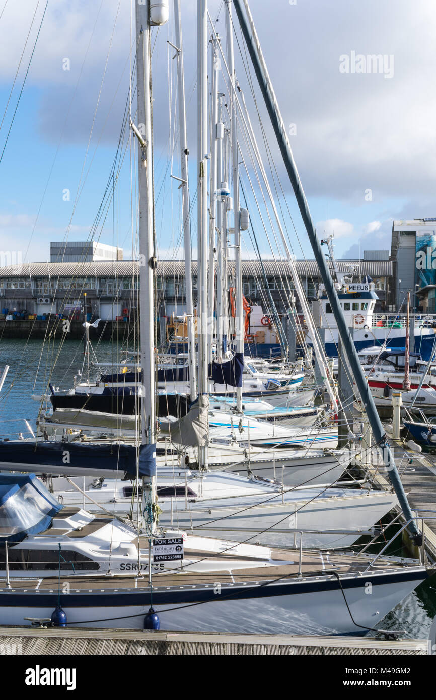 Sutton Harbour Plymouth on a sunny day in February with yachts moored on the pontoons Stock Photo