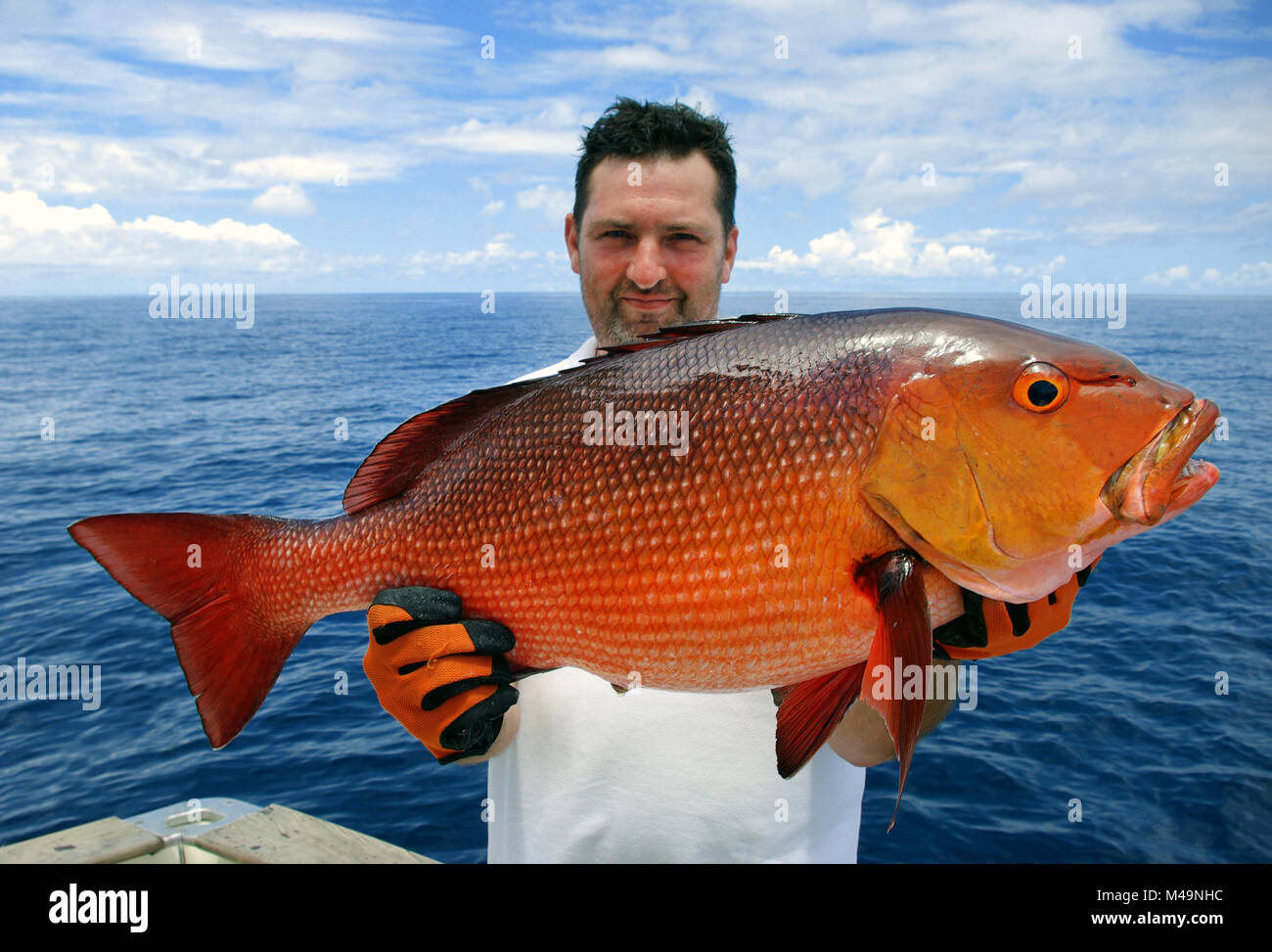 Lucky  fisherman holding a beautiful red snapper. Deep sea fishing, big game fishing, catch of fish. Stock Photo