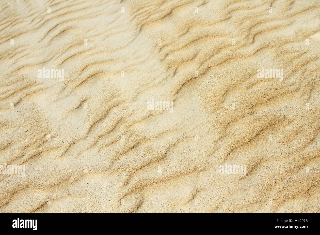 Yellow sand dune texture close up Stock Photo