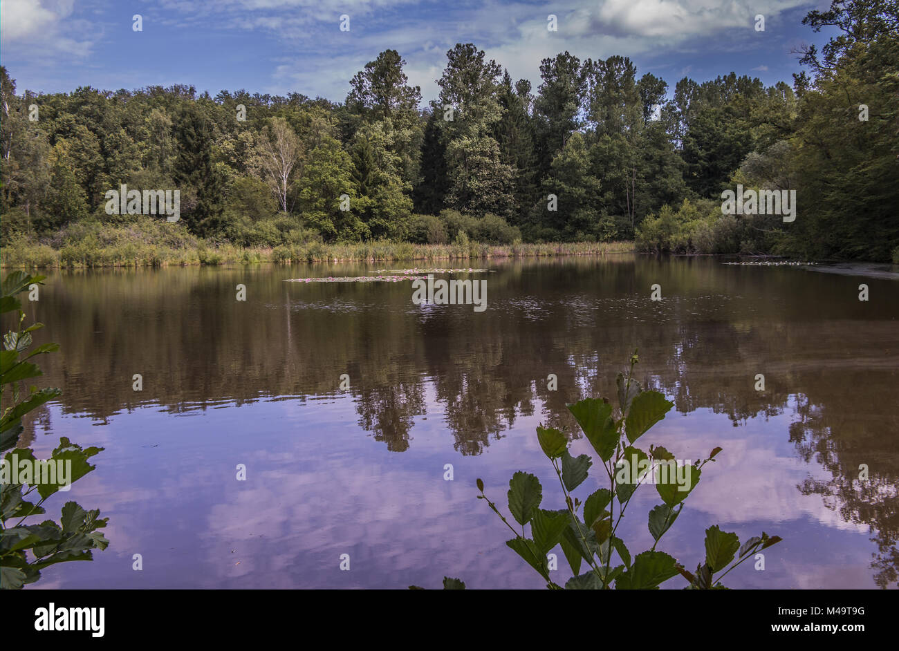See in forest, near Stuttgart, south germany Stock Photo - Alamy