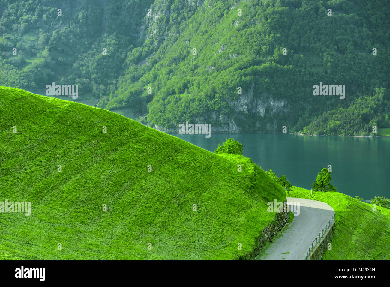Path on green hill with lake and mountain in background Stock Photo