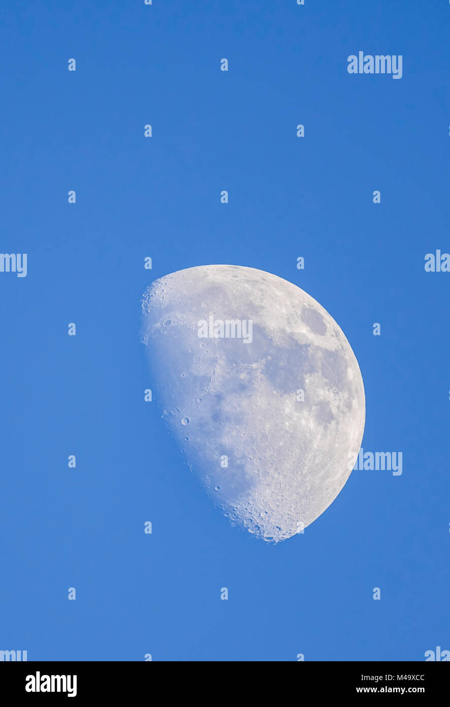 Moon in the day at Waxing Gibbous phase against blue sky in Winter, from the UK. Portrait with copy space. Stock Photo
