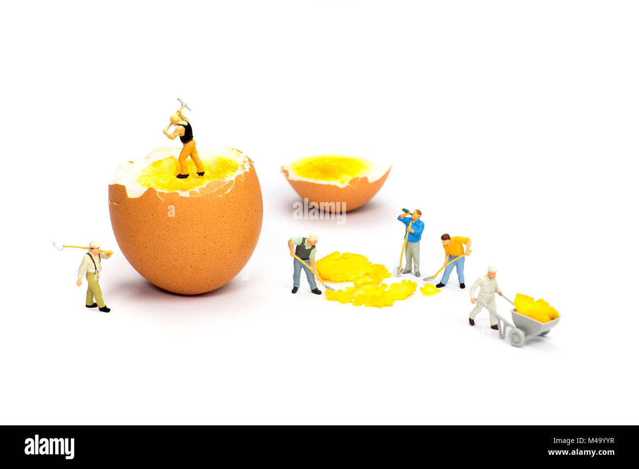 Team of miniature human figurines transporting chicken egg yolk Stock Photo