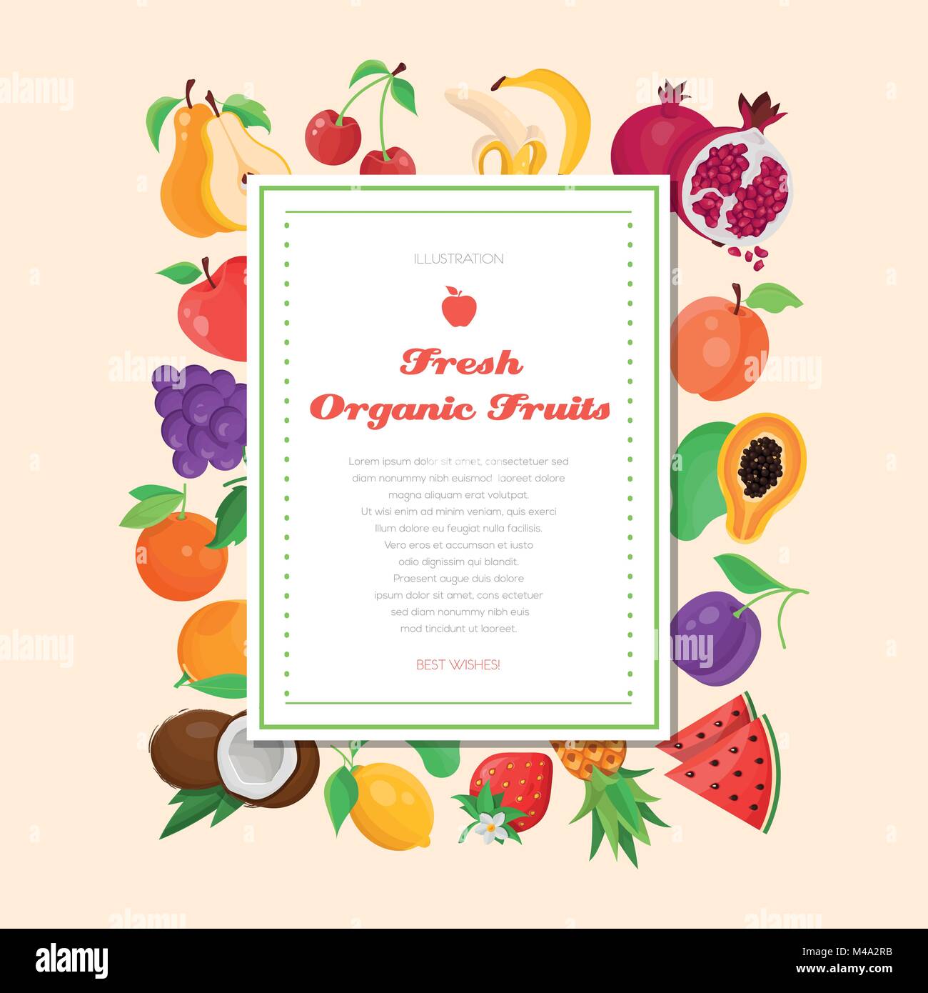 Fresh organic fruit - modern colorful vector illustration Stock Vector ...