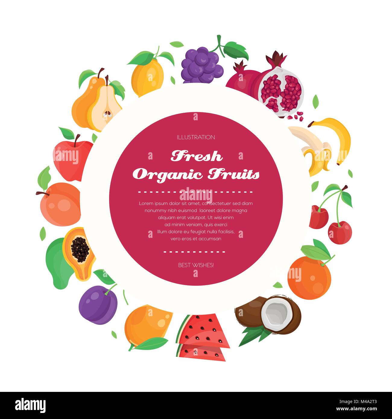 Fresh organic fruit modern colorful vector illustration Stock Vector