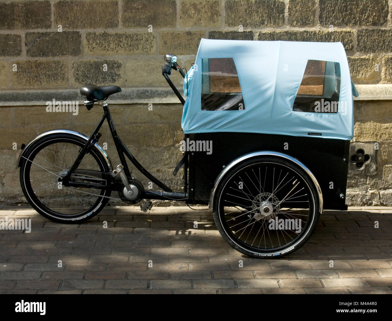 Bike with canopy hi-res and -