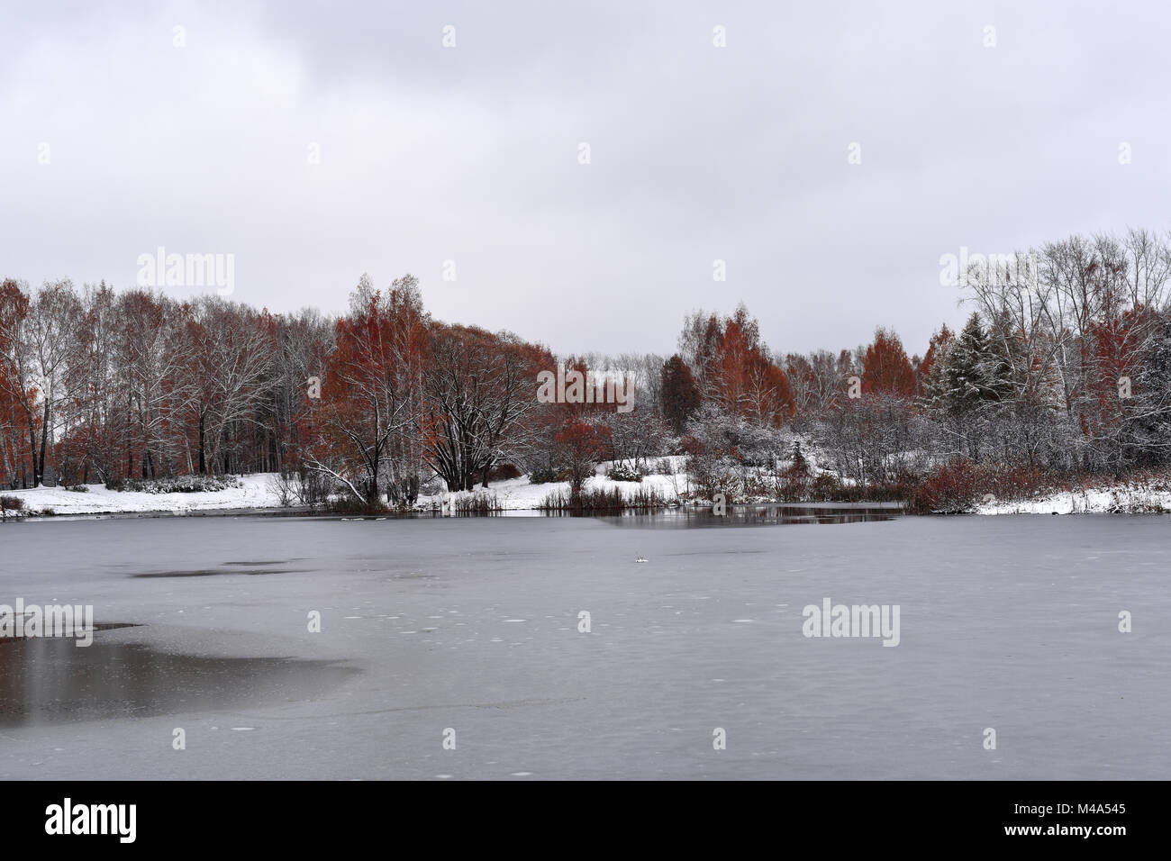 Gloomy cold October day in the autumn park Stock Photo Alamy
