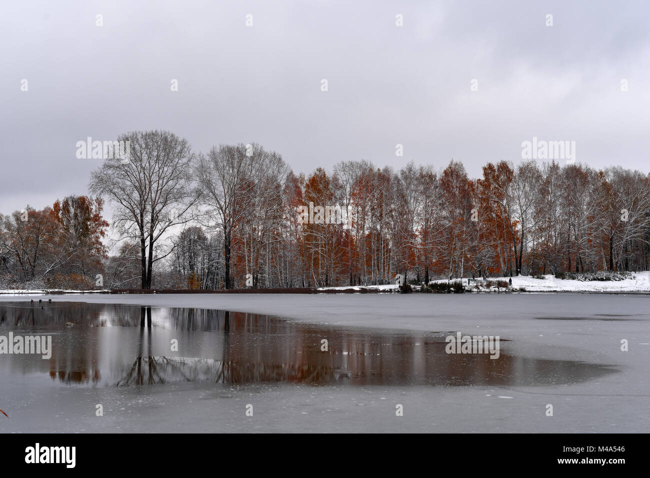 Gloomy cold October day in the autumn park Stock Photo Alamy
