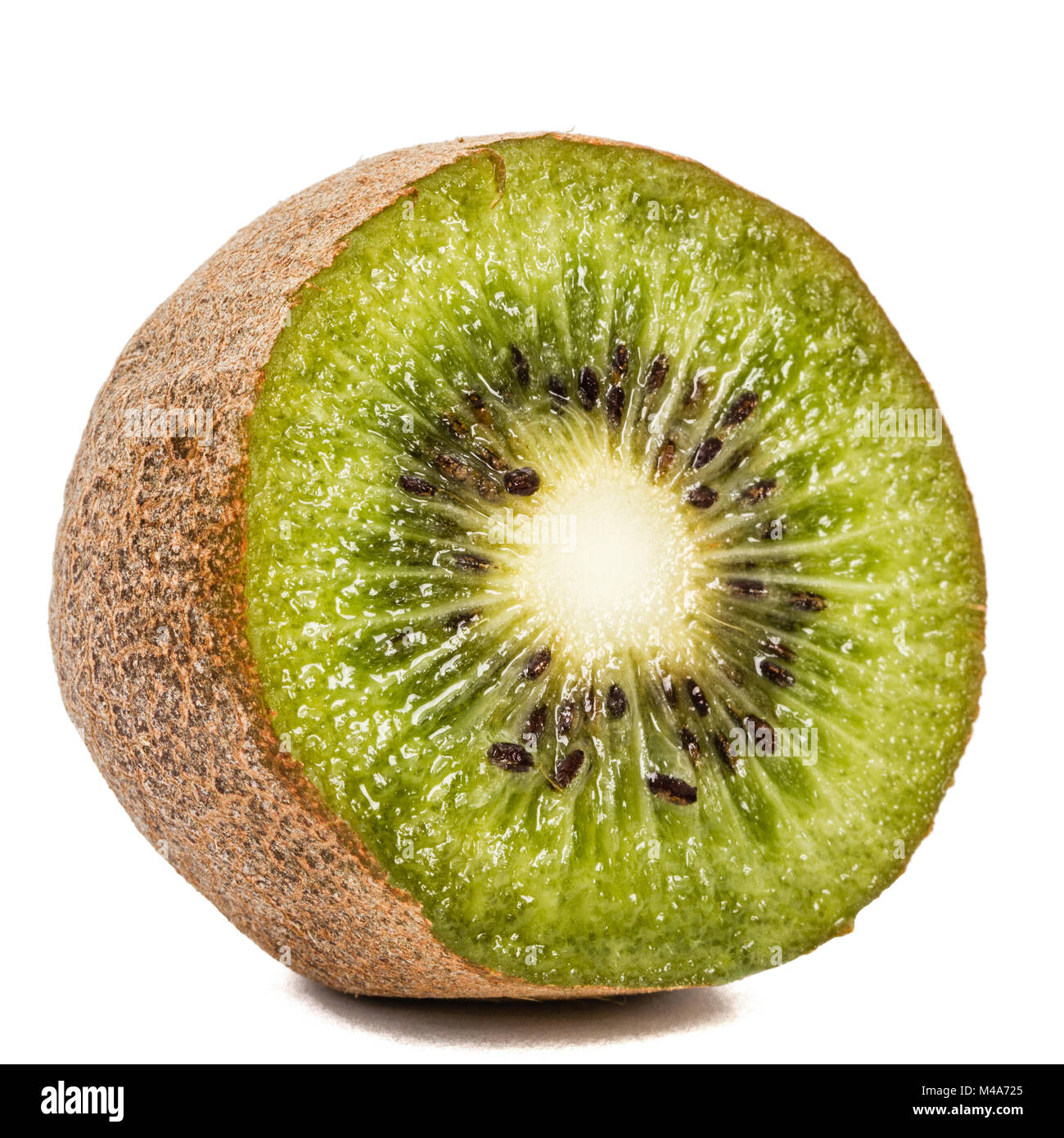 One kiwi fruit, isolated on white background Stock Photo