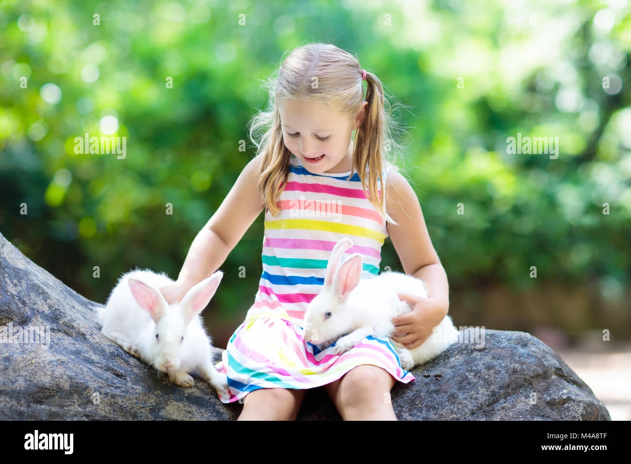 Child playing with rabbit. Little girl feeding white bunny. Easter