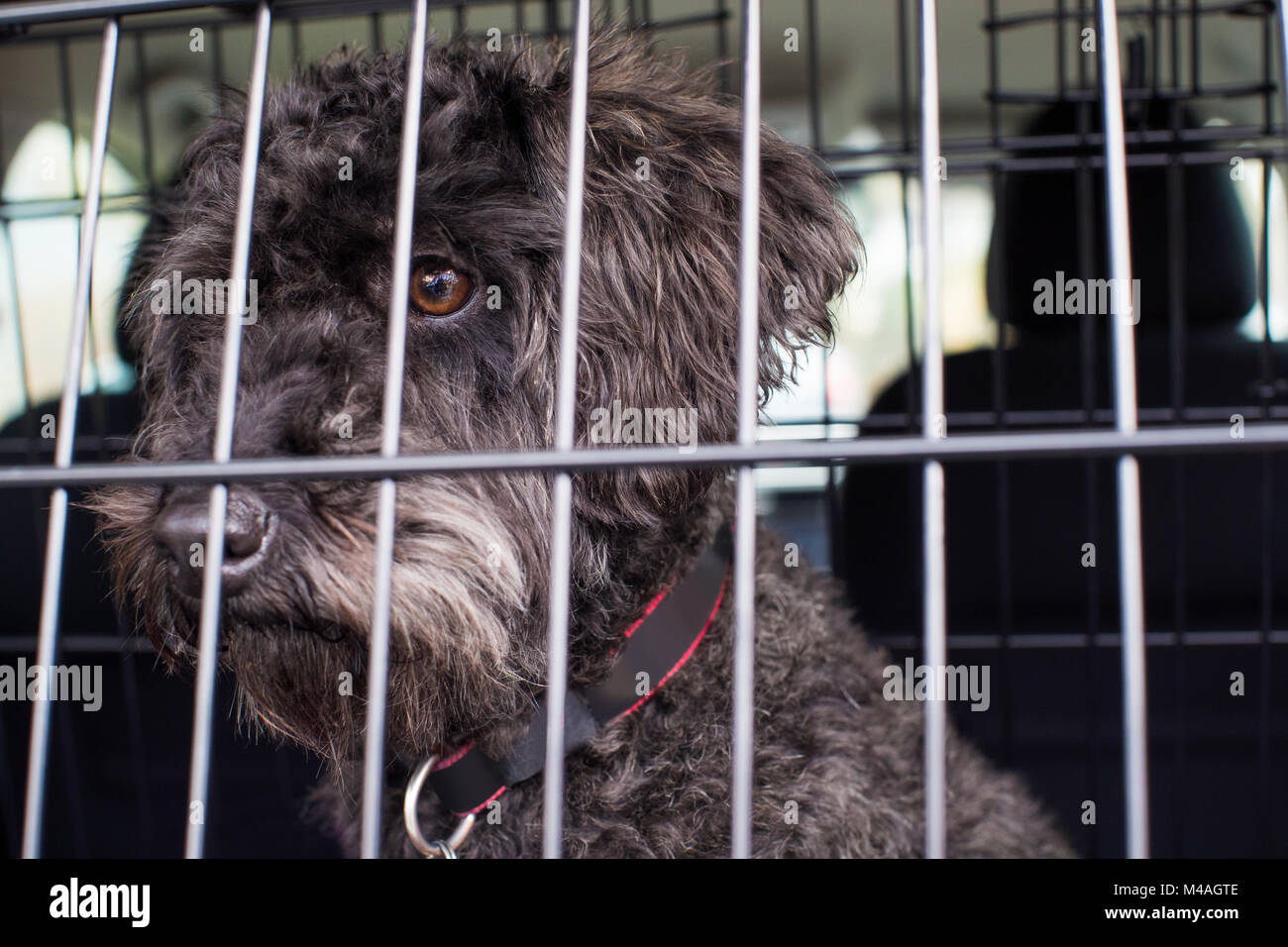 Sad journey hires stock photography and images Alamy