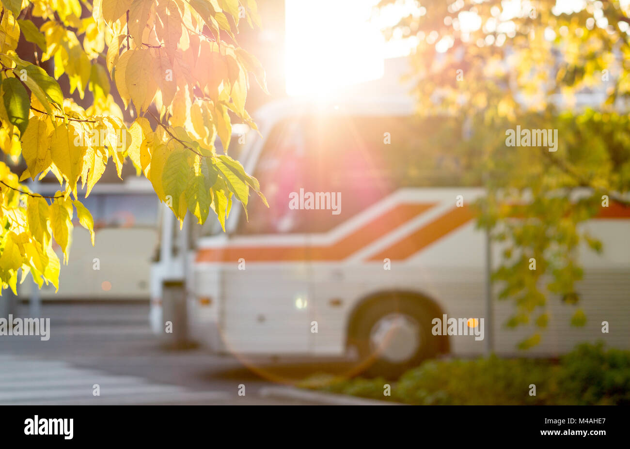 Bus at station framed by autumn colored leaves from trees. Sunny public transportation concept. Stock Photo