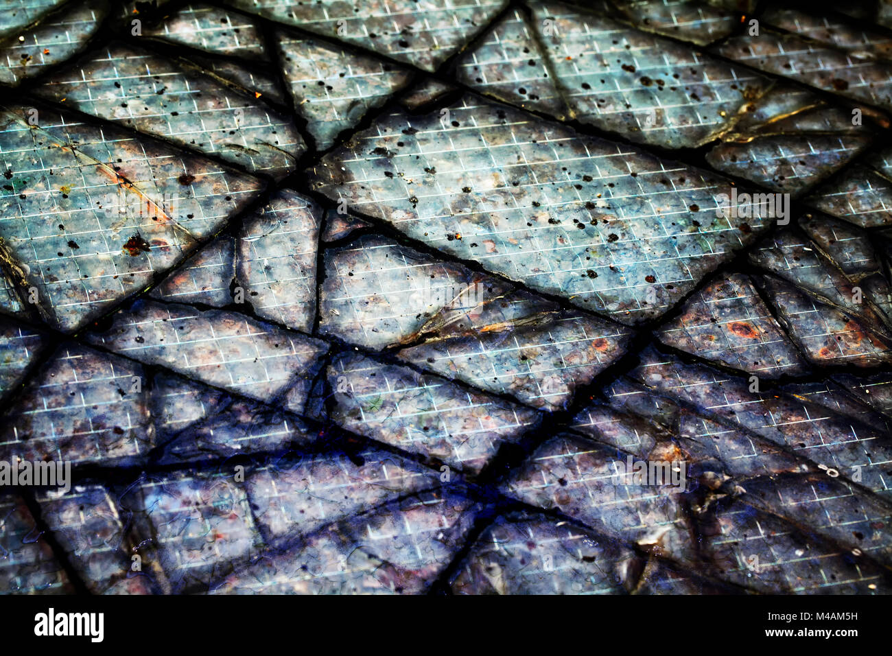 Broken safety glass Stock Photo