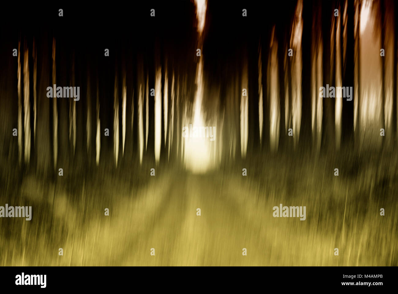 Out focus forest path hi-res stock photography and images - Alamy