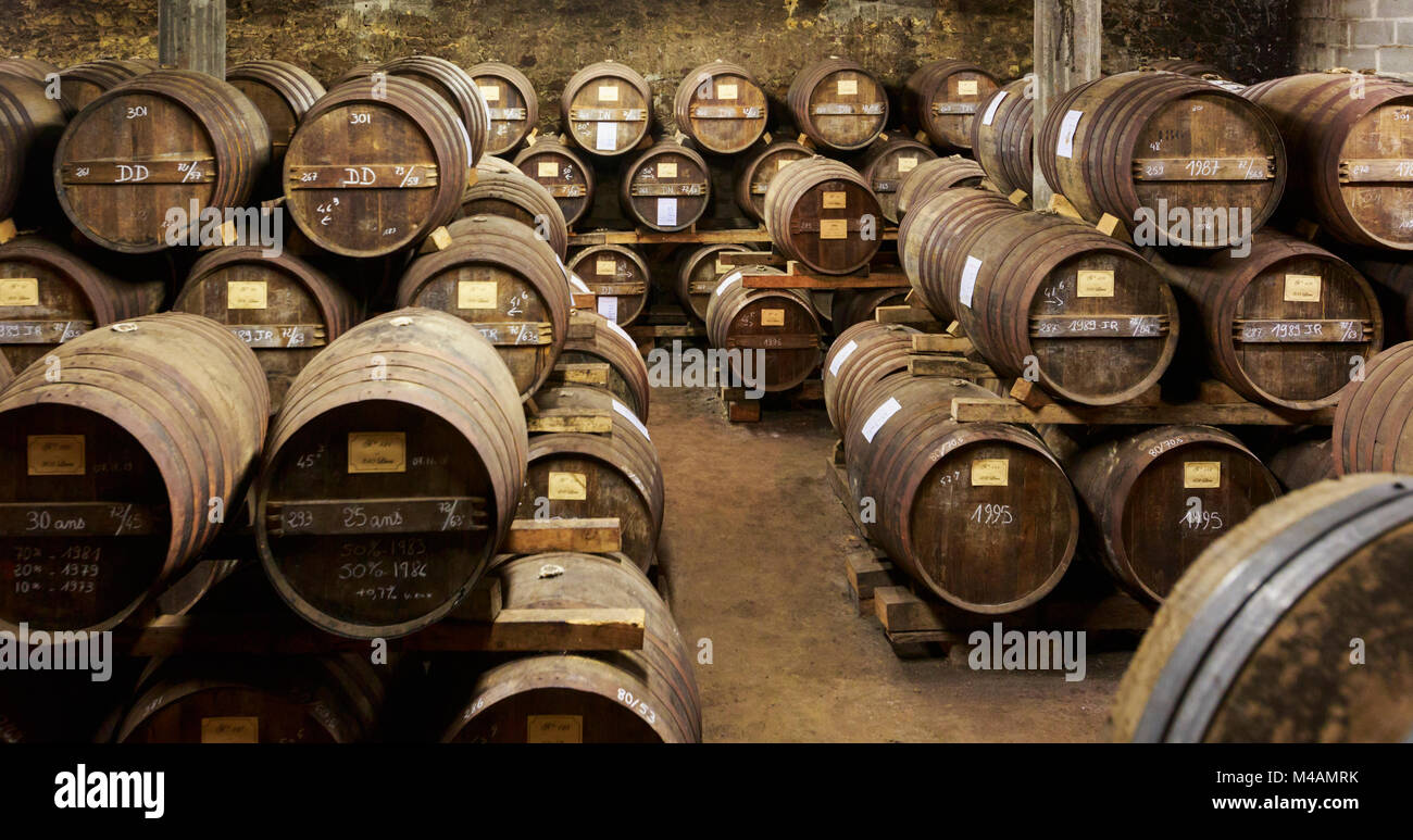 Nogaro, Gers Department, Midi-Pyrénées, France.  Barrels of Armagnac in the cellars of Dartigalongue & Fils. Stock Photo