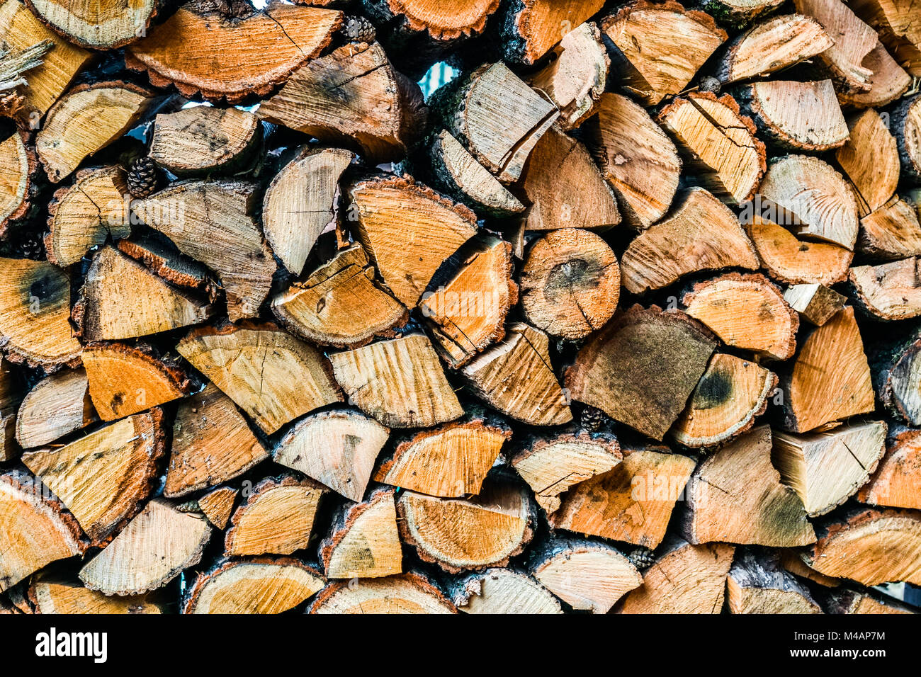 Big wall of stacked wood logs showing natural discoloration Stock Photo