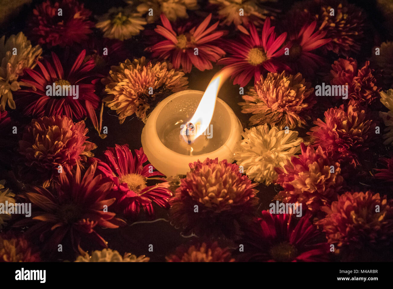 Floating Candle in flower bowl Stock Photo Alamy