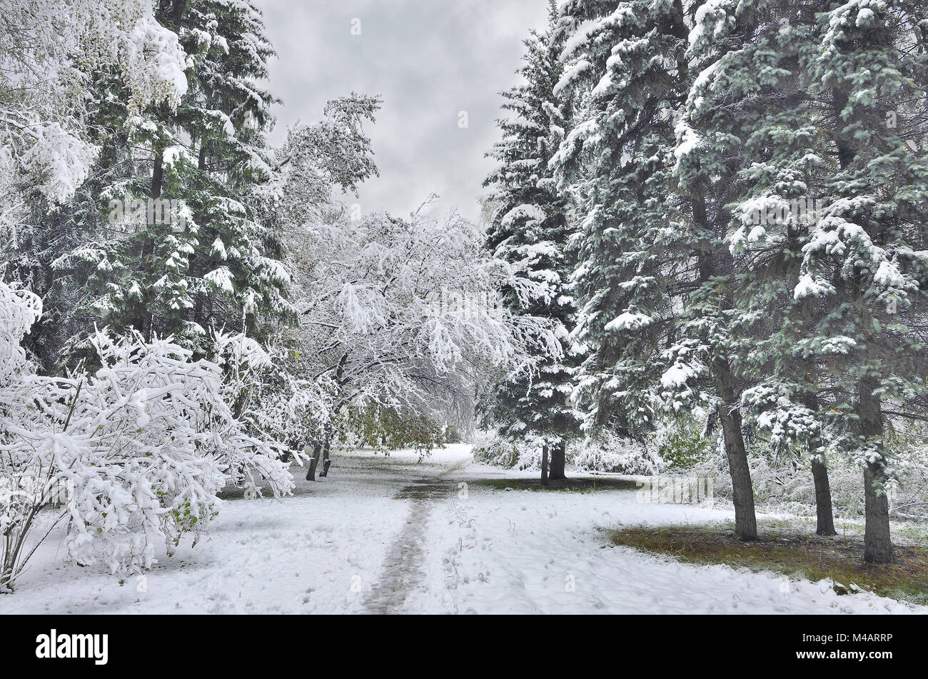 First snowfall hi-res stock photography and images - Alamy