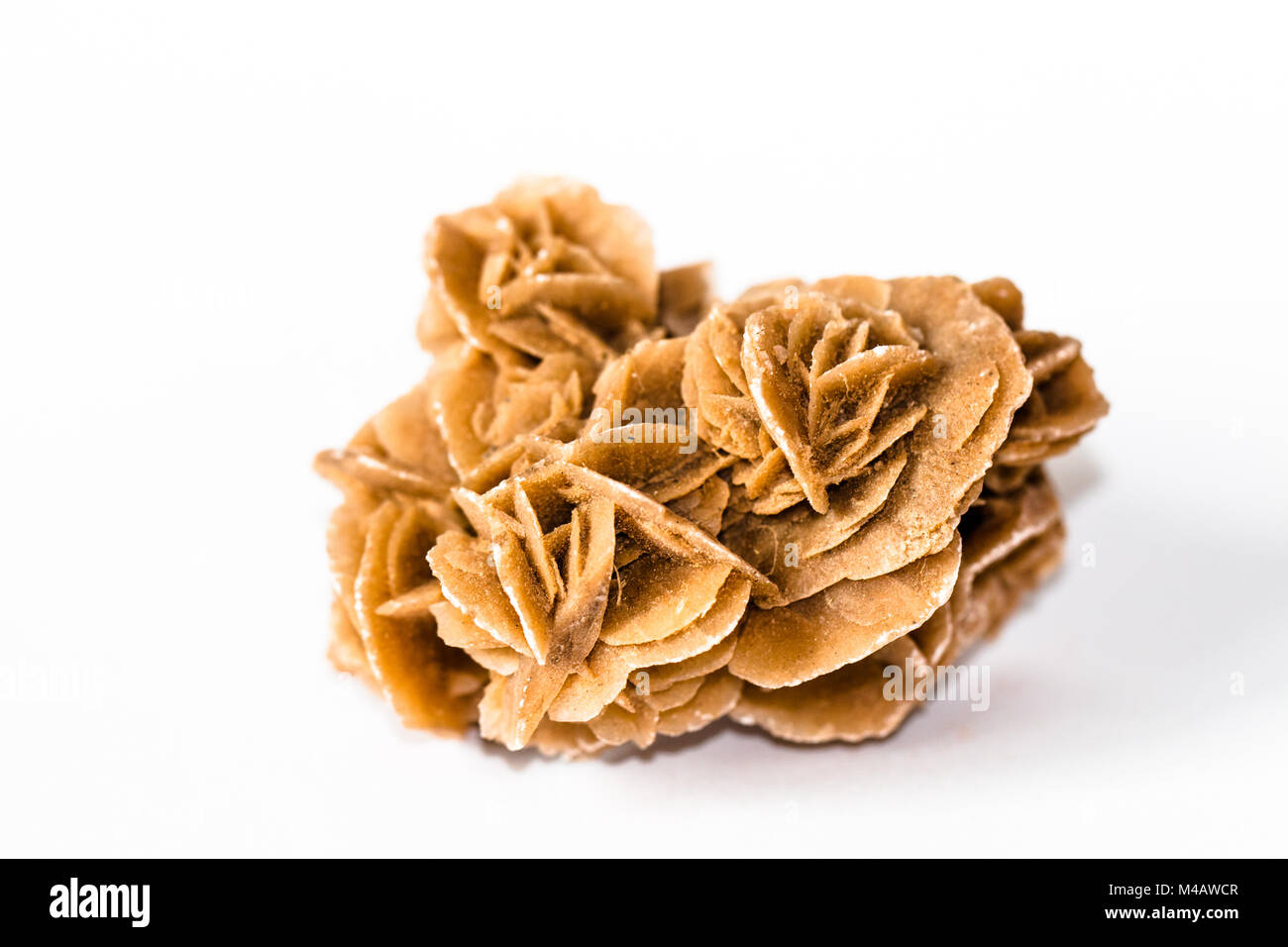 Desert rose, natural stone made from sand Stock Photo Alamy