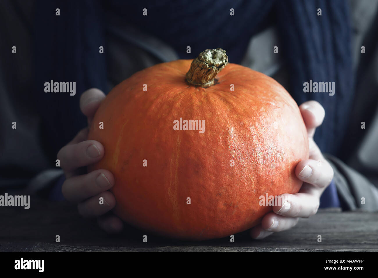 Orange pumpkin in the hand horizontal Stock Photo