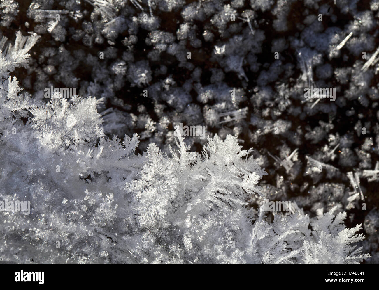 Frost on the ground hi-res stock photography and images - Alamy