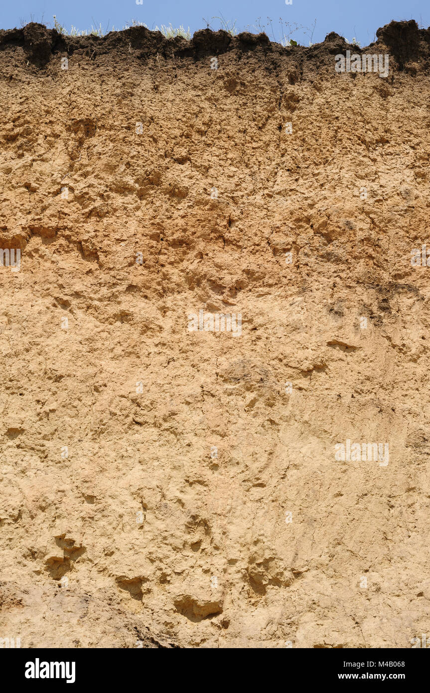 Cut of soil layers Stock Photo