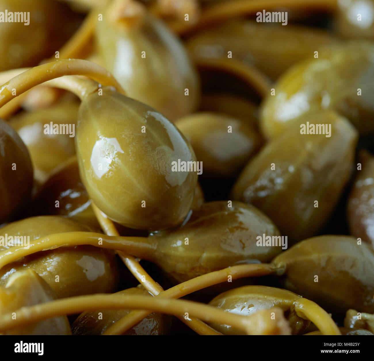 Pickled caper berries . Edible fruits of Capparis . Berries are used as