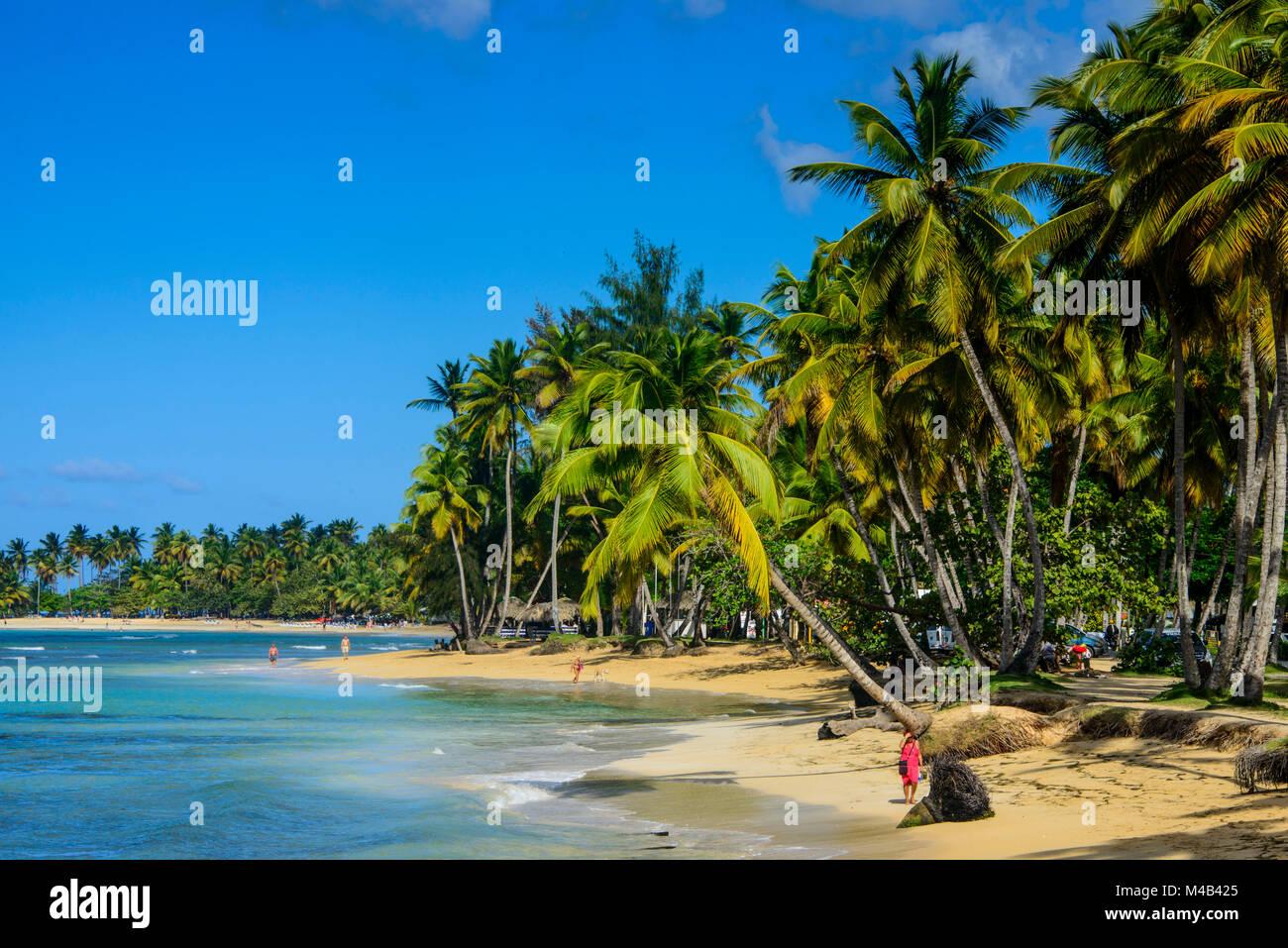 Casa Blanca beach,Las Terrenas,Dominican Republic Stock Photo Alamy