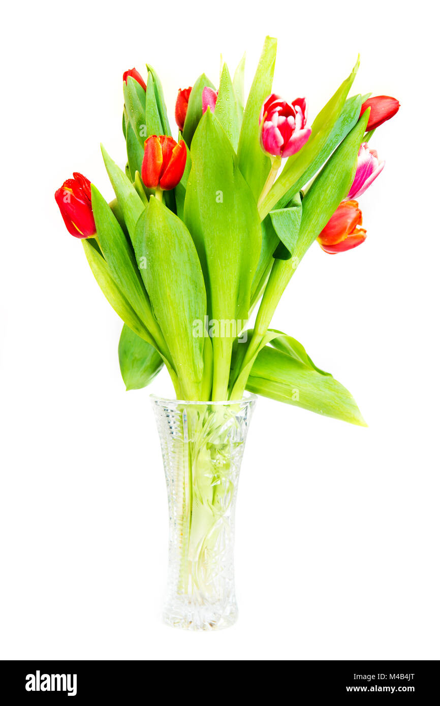 Tulips bouquet isolated on white Stock Photo - Alamy