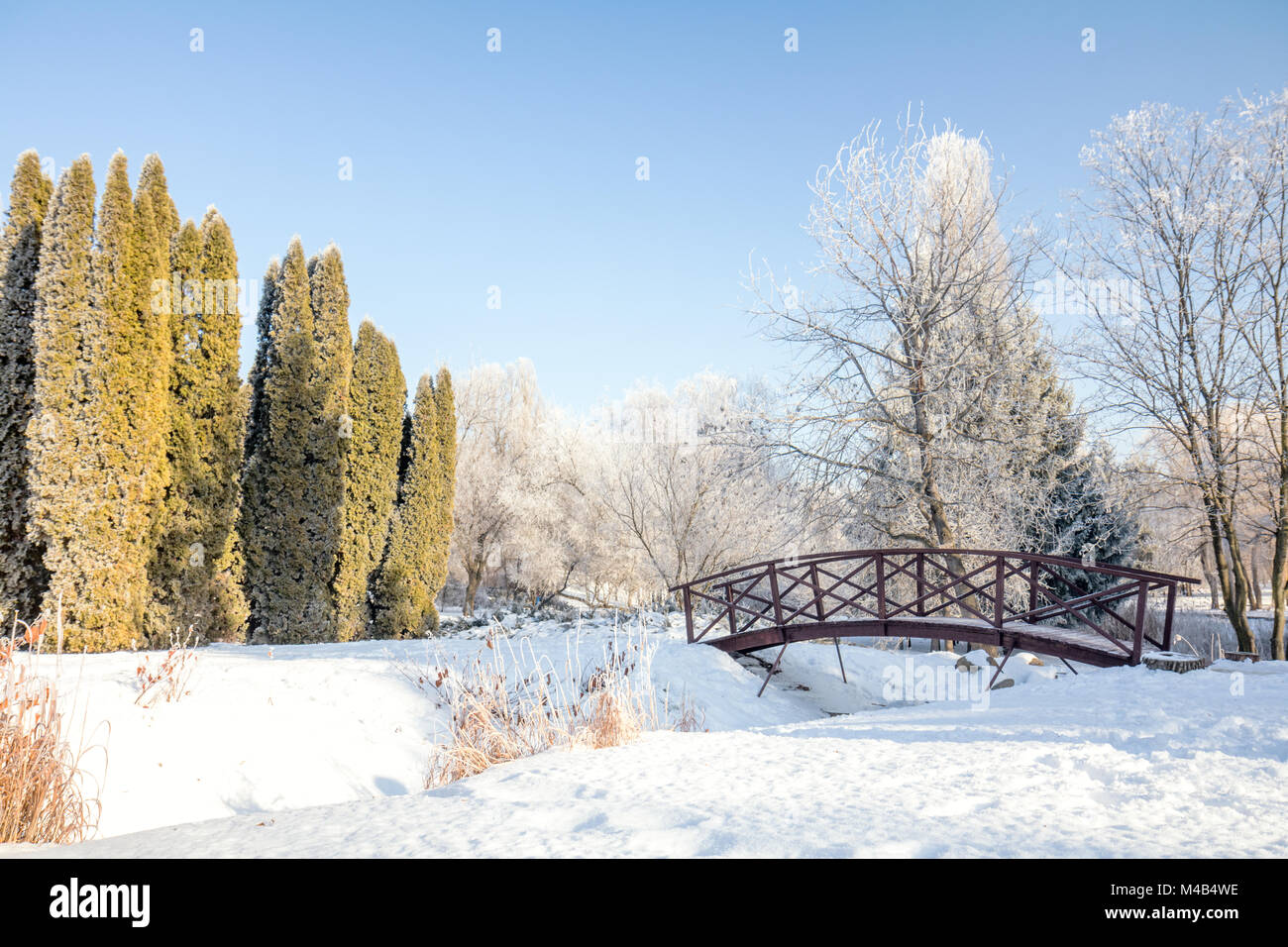 Winter landscape of frosty trees and blue sky Stock Photo - Alamy