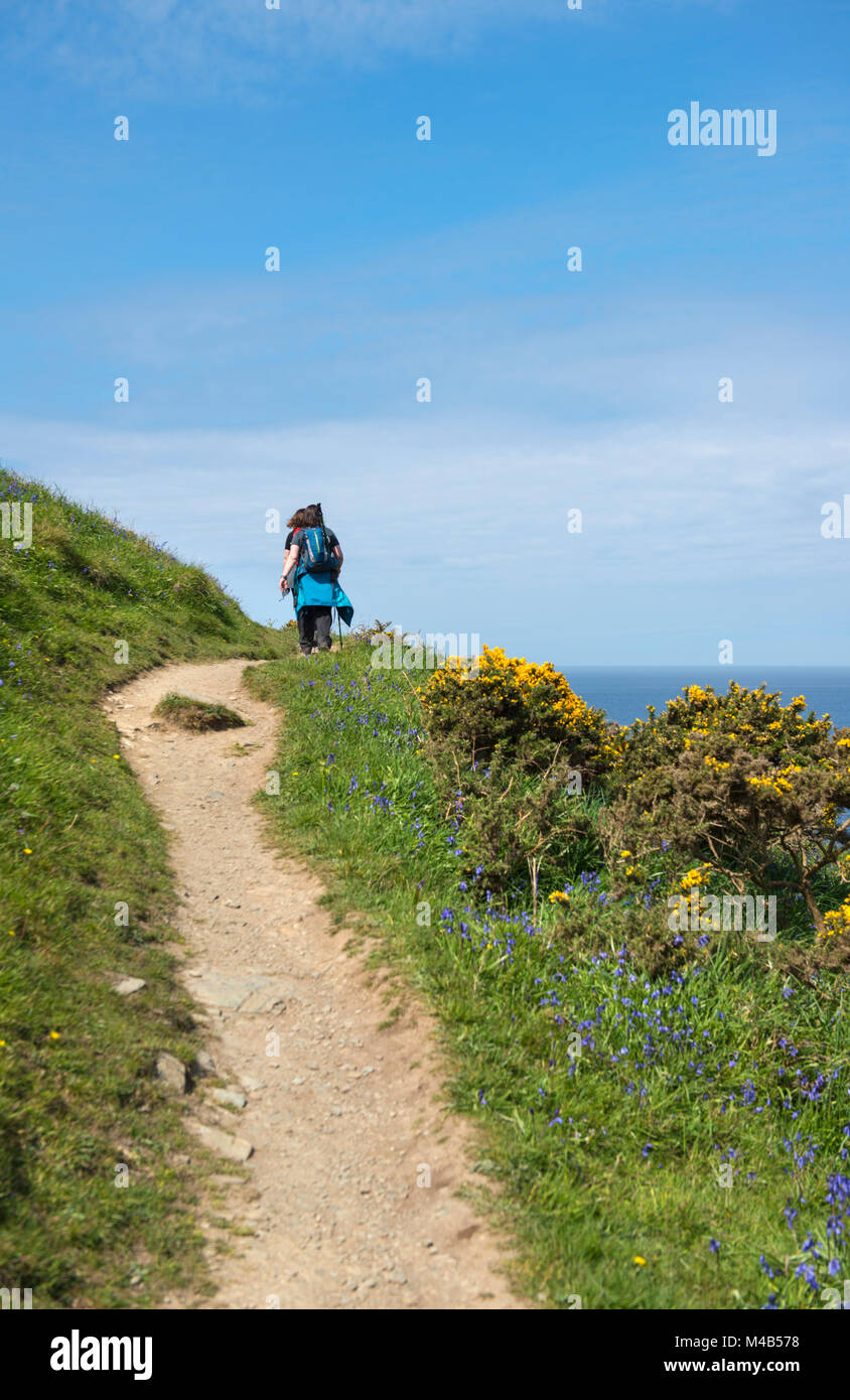 Two woman walking along the South West Coast Path in Cornwall, England, UK Stock Photo
