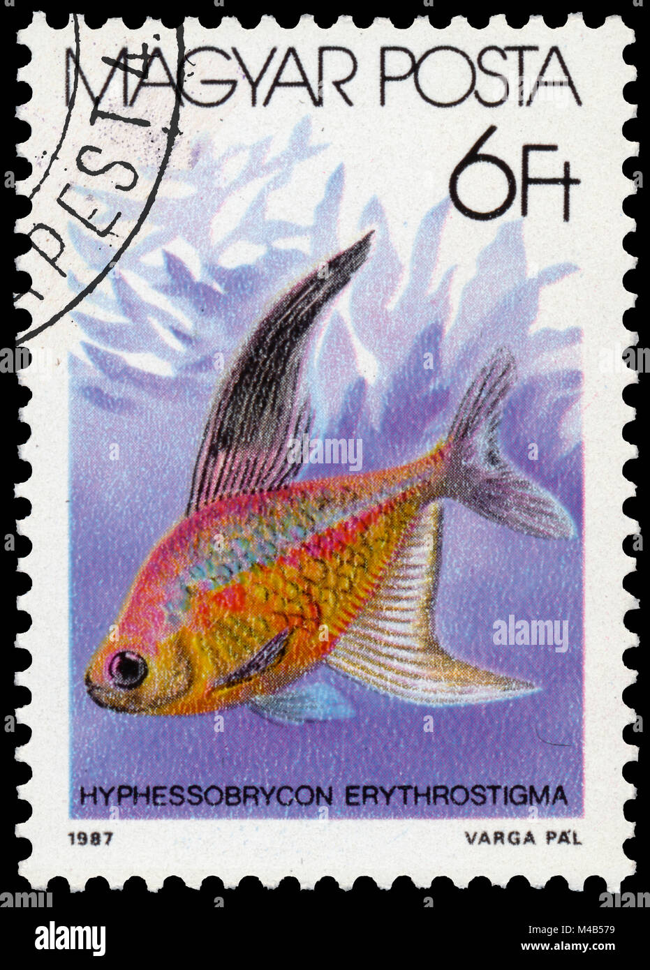 BUDAPEST, HUNGARY - 05 december 2014: a post stamp printed in HUNGARY shows bleeding heart tetra (Hyphessobrycon erythrostigma), the series 'The fishe Stock Photo