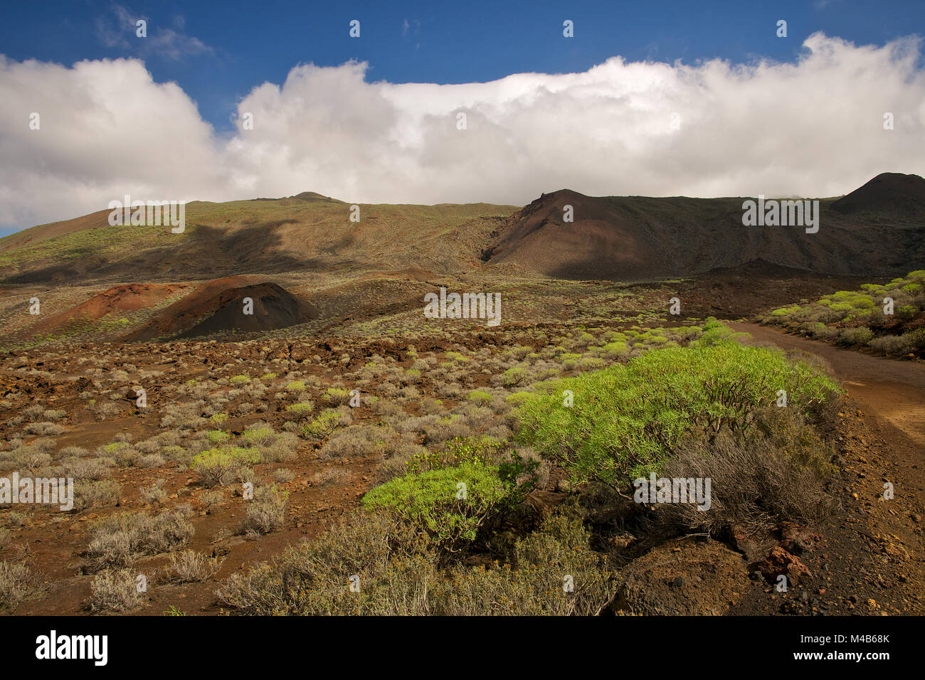 Panoramic view of the surroundings of Punta de la Orchilla, with endemic Euphorbia plants, at El Hierro island (Canary Islands, Spain) Stock Photo