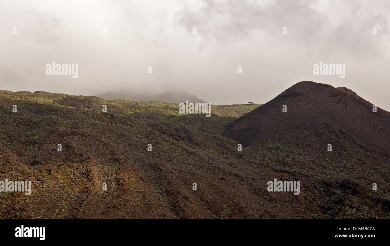 Panoramic view of the surroundings of Punta de la Orchilla, with cinder cone and endemic Euphorbia plants, at El Hierro island (Canary Islands, Spain) Stock Photo