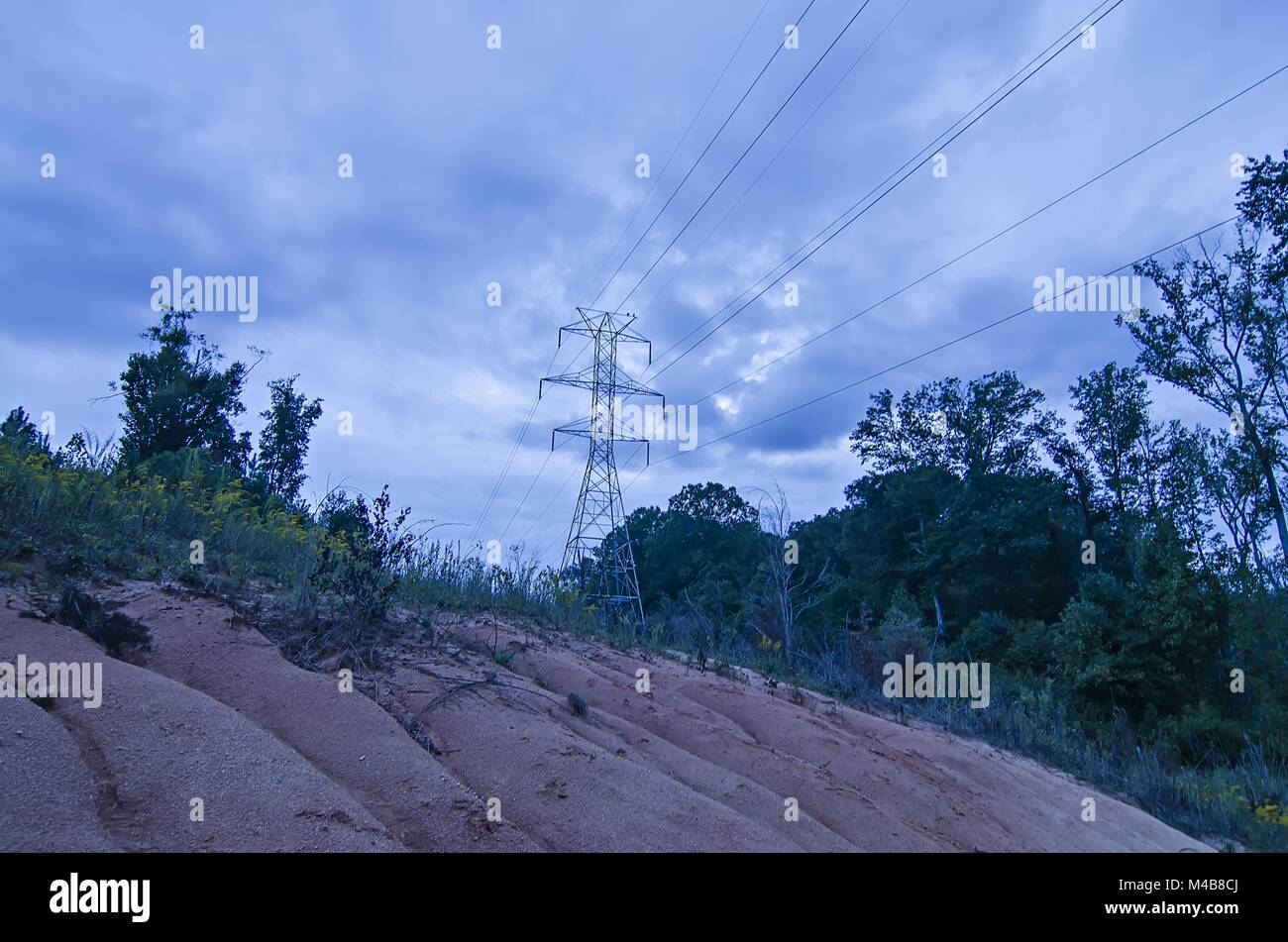 high voltage carrier power lines through the forest Stock Photo - Alamy