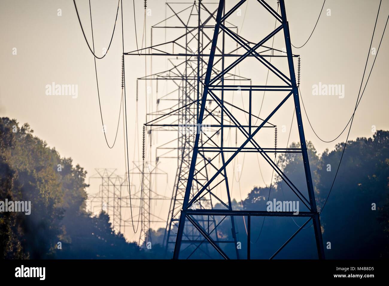 high voltage carrier power lines through the forest Stock Photo - Alamy