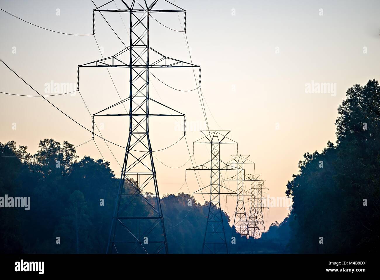 high voltage carrier power lines through the forest Stock Photo Alamy