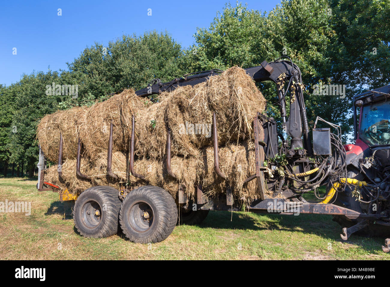 Agricultural vehicle filled with round hay bales Stock Photo