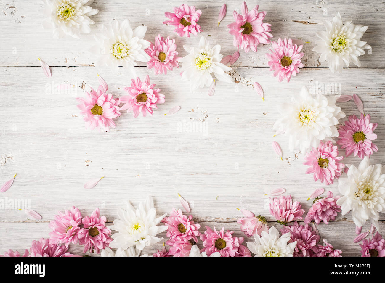 Pink and white flowers on the white wooden table Stock Photo
