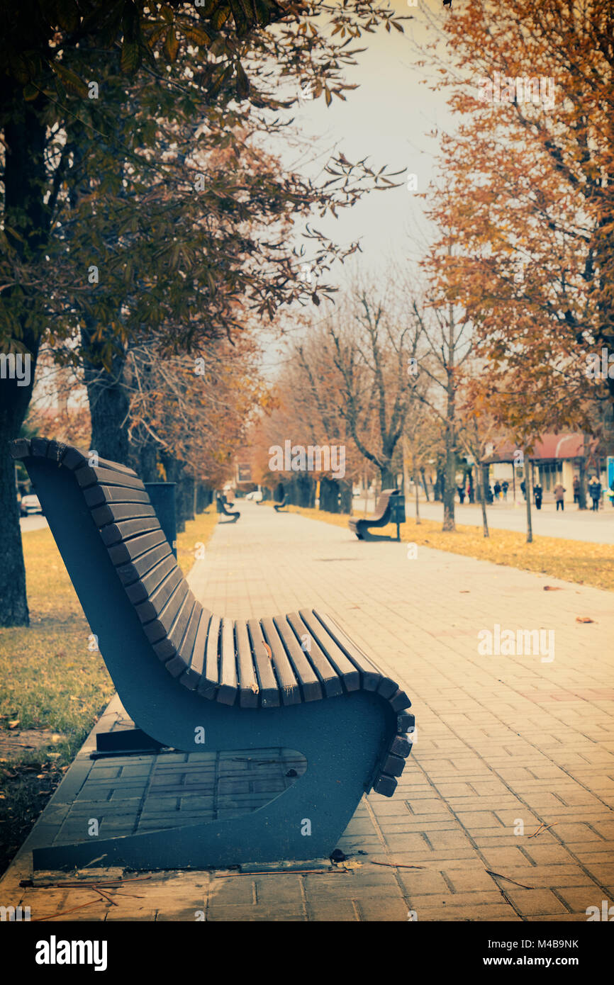 Wooden brawn bench on the city alley in falling season Stock Photo
