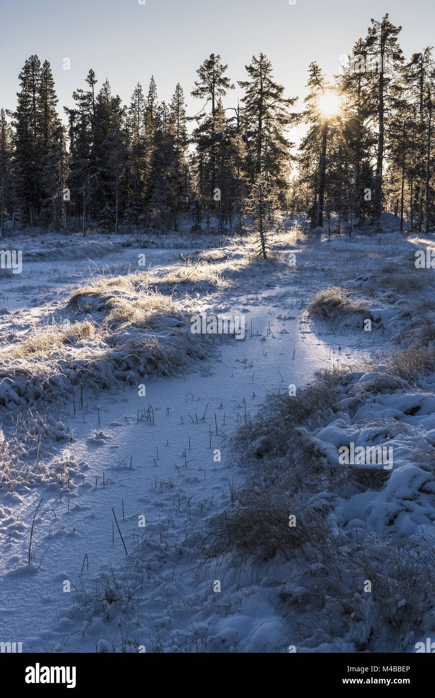 Winter landscape, Muddus National park, Lapland, Sweden Stock Photo