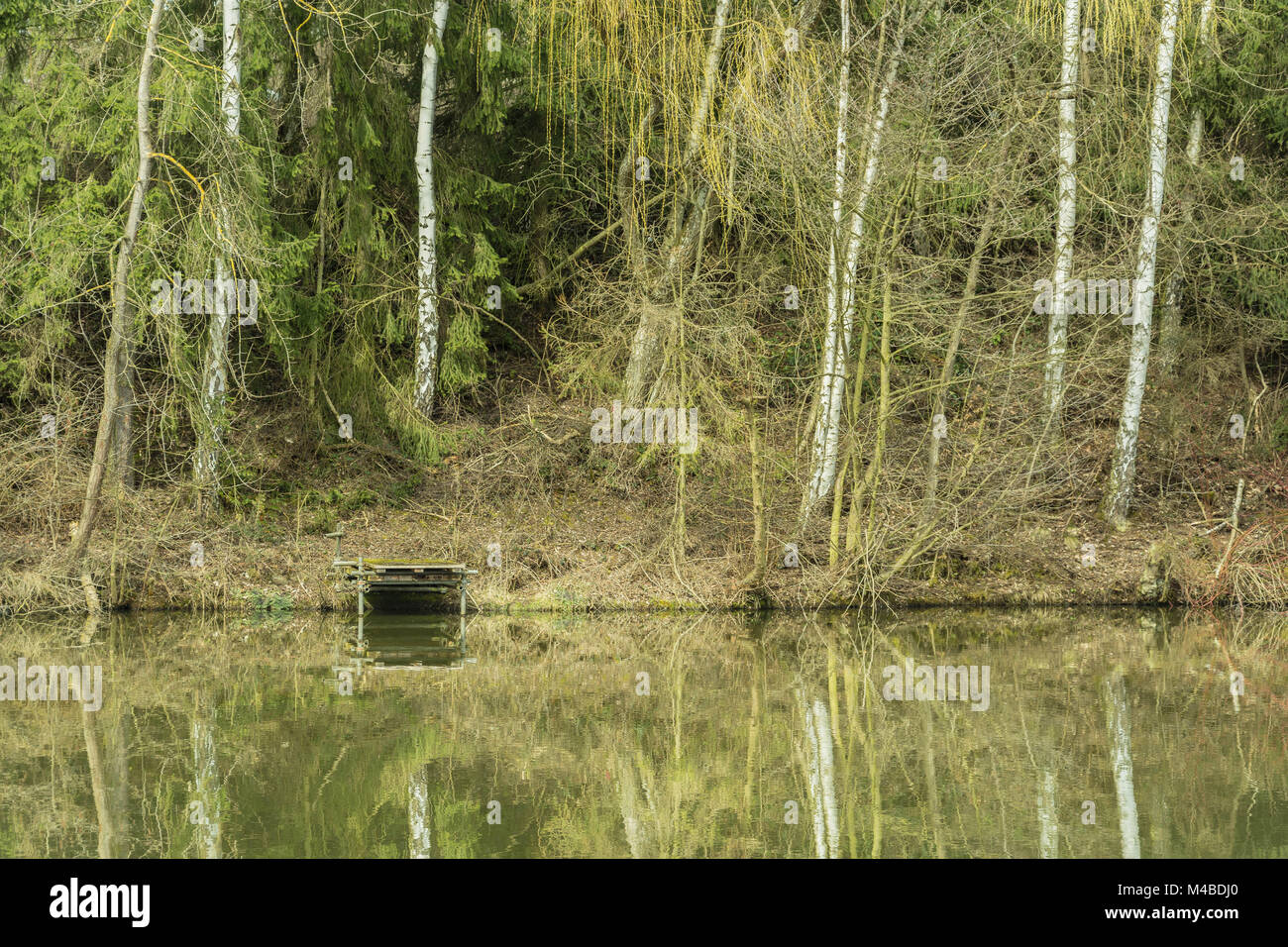 Sleeping in trees hi-res stock photography and images - Alamy