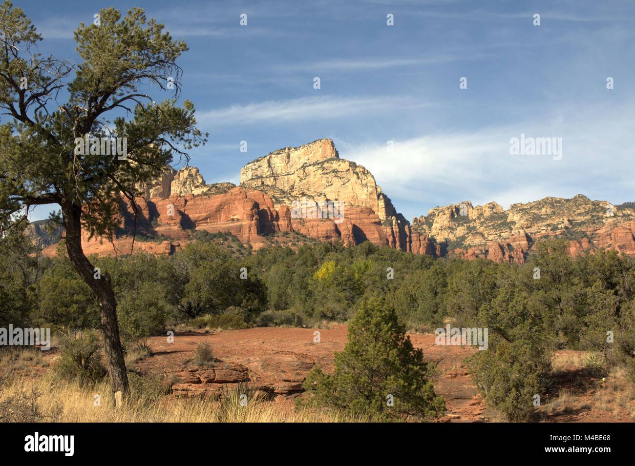 Beautiful Red Rocks of Sedona on a Trail Ride Stock Photo - Alamy