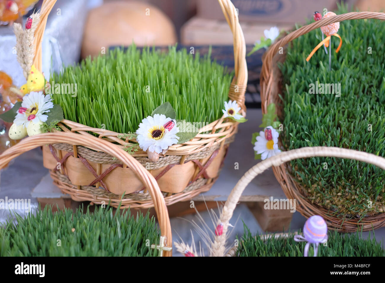 Easter baskets with grass Stock Photo Alamy
