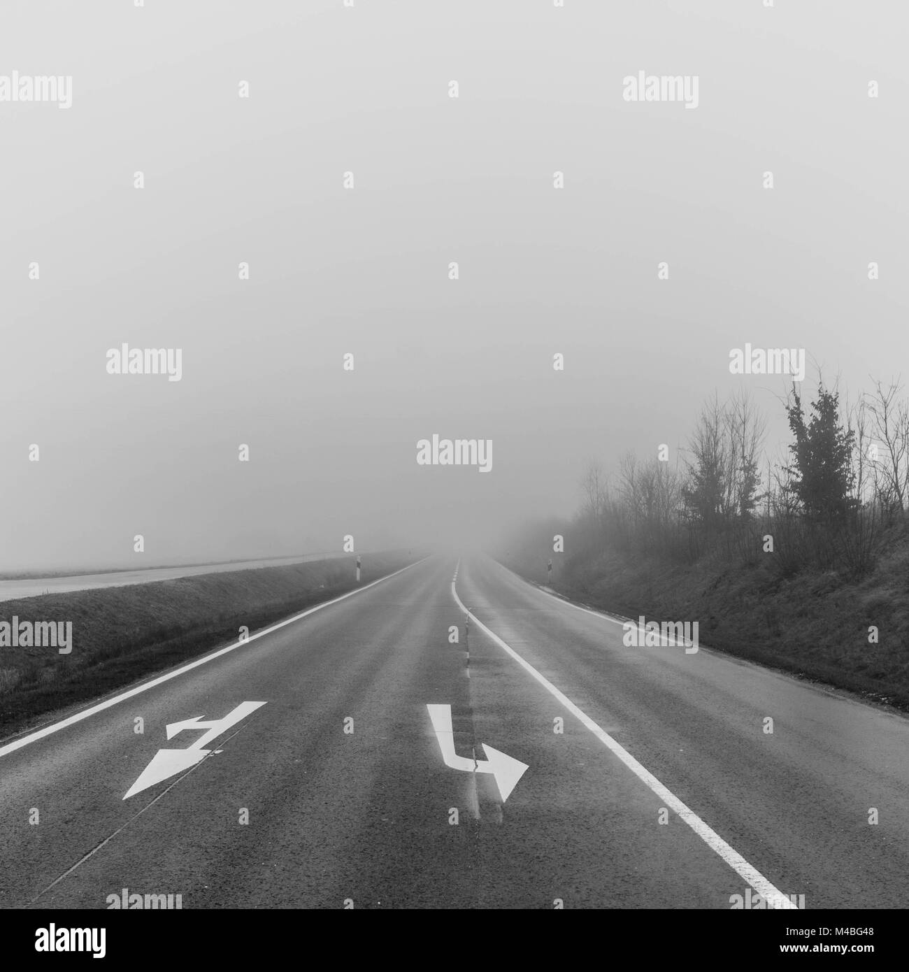 country road in morning fog Stock Photo - Alamy