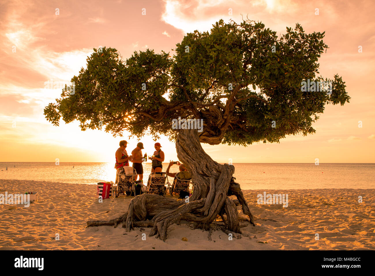 EAGLE BEACH, ARUBA - MARCH 15, 2017: Sunset along beautiful Eagle Beach Aruba with visitors and divi divi tree in view. Stock Photo