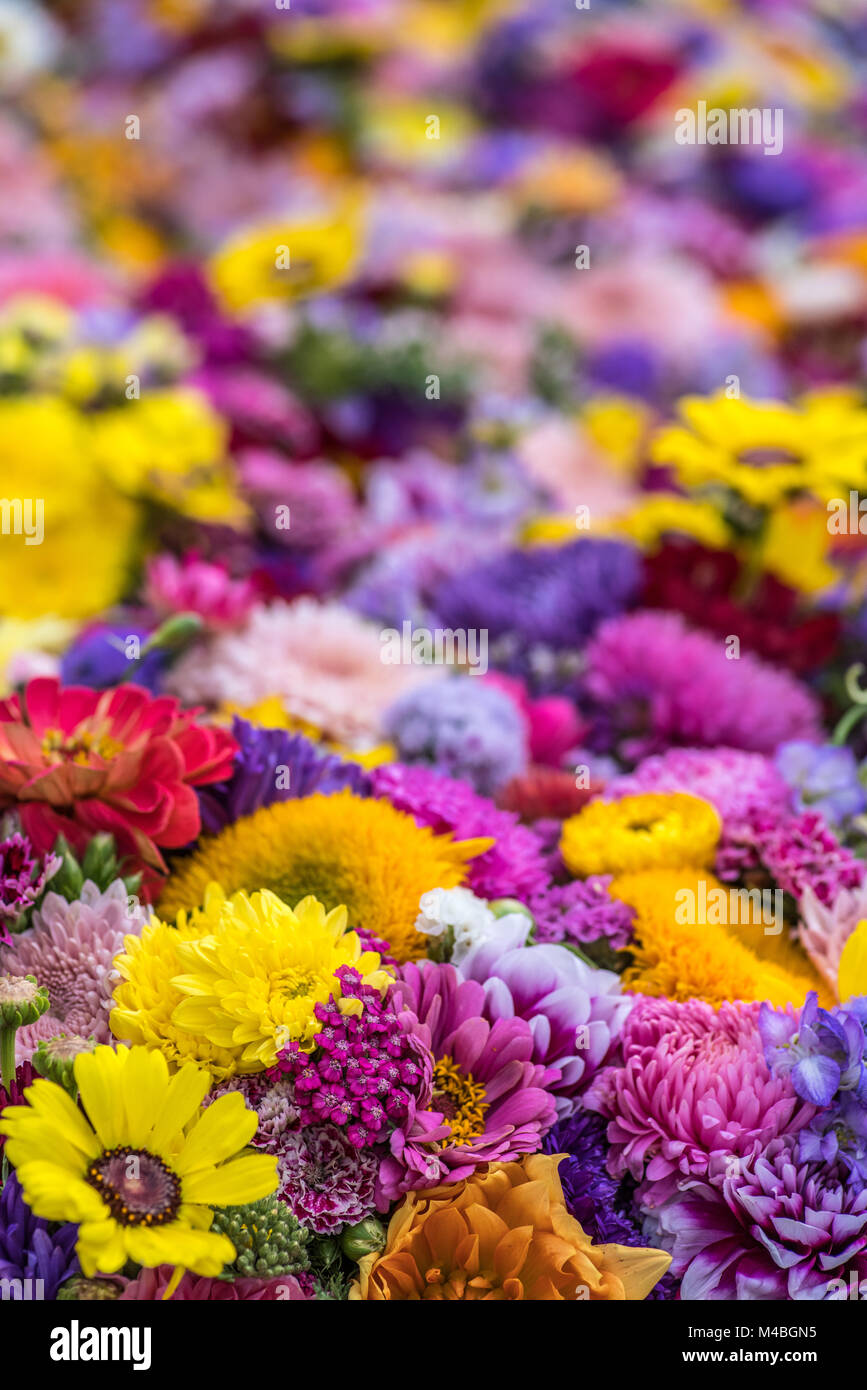 Flower bouquet hi-res stock photography and images - Alamy